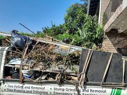Professional Junk Removal Services in Glenvar Heights, FL
